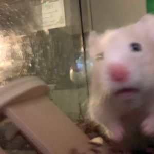 Meet your Posher, Sky